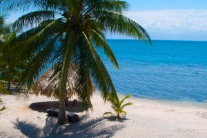 Coral House Beach