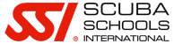 SSI Logo