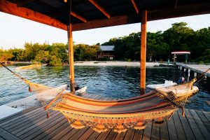 Hammock